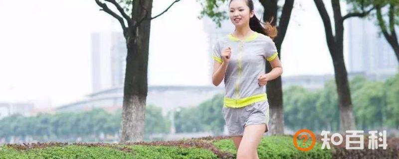 晨跑前吃什么
