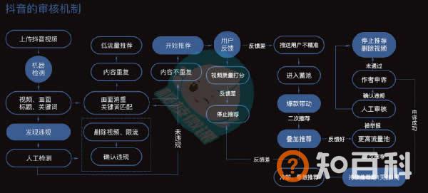 抖音教程：抖音从0到1快速运营操作教程！