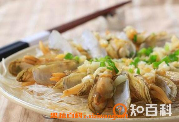 蛏子怎么吃 蛏子的家常做法大全