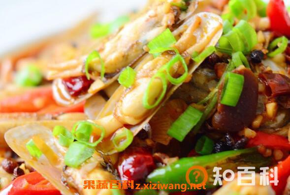 蛏子怎么吃 蛏子的家常做法大全