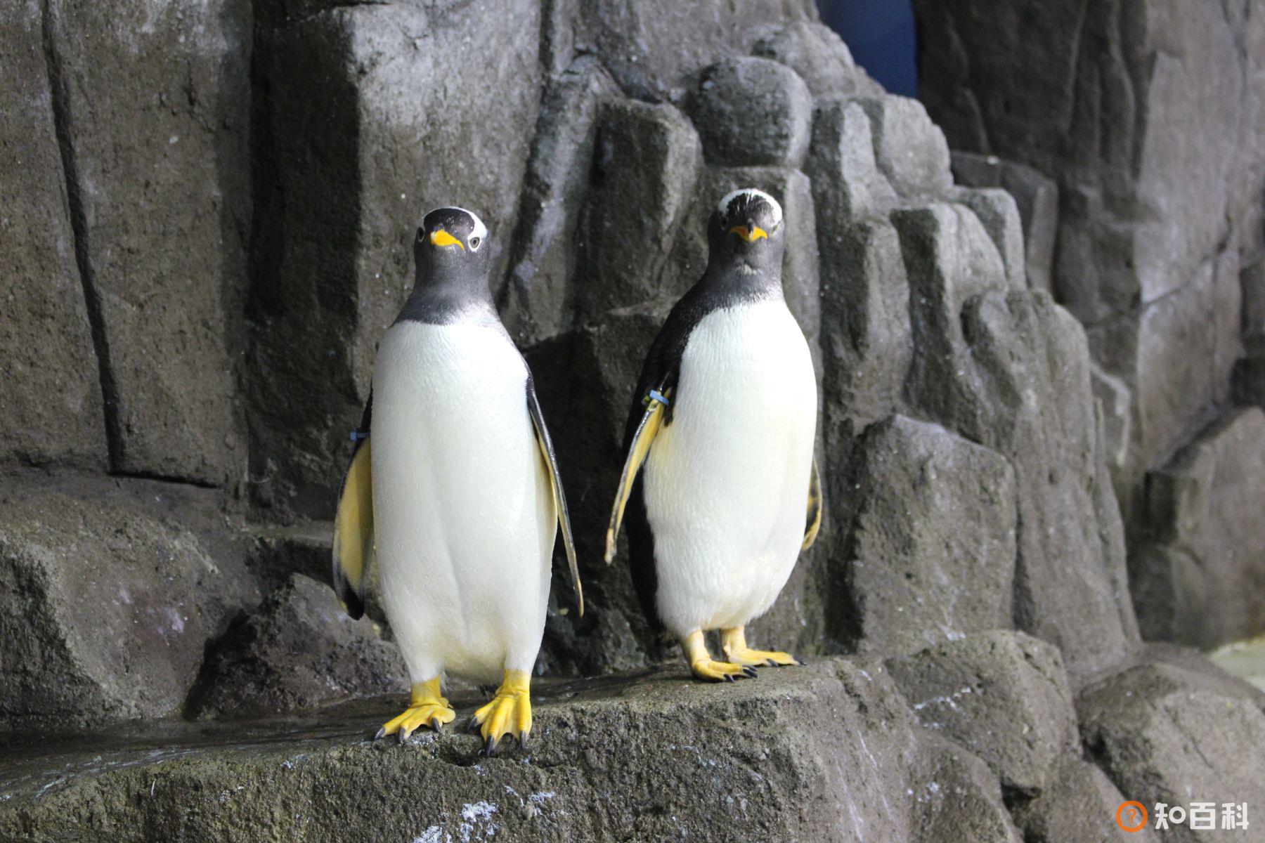 浩海立方海洋馆(Cube Oceanarium)