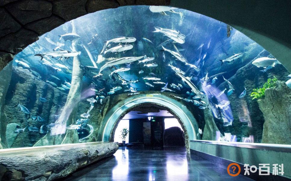 浩海立方海洋馆(Cube Oceanarium)