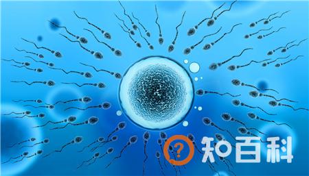 备孕躺了2小时还是流出来了有影响吗