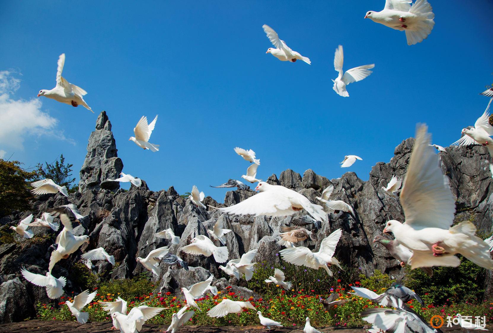 千岛湖石林景区(Stone Forest Scenic Area)