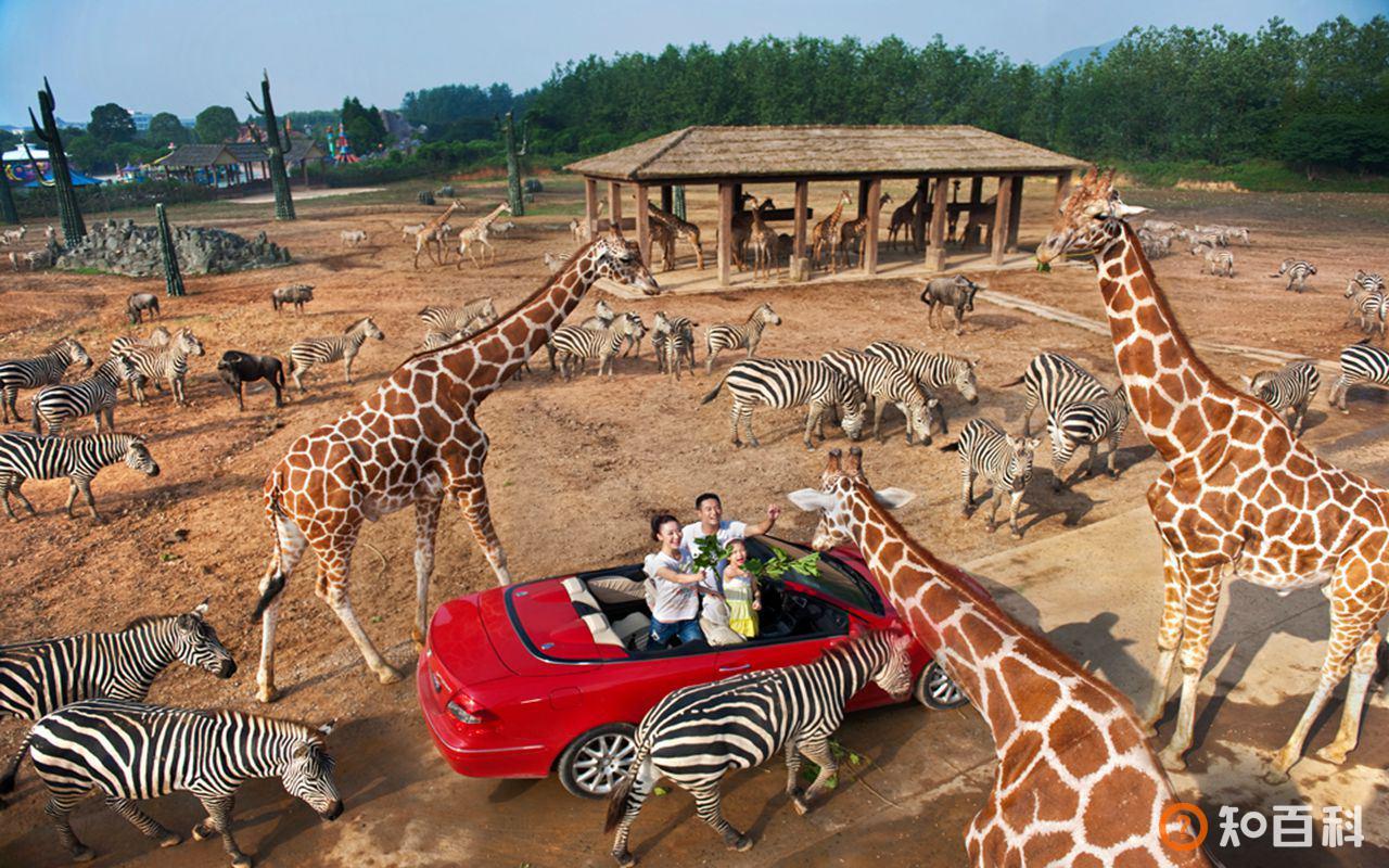 杭州野生动物世界(Hangzhou Safari Park)