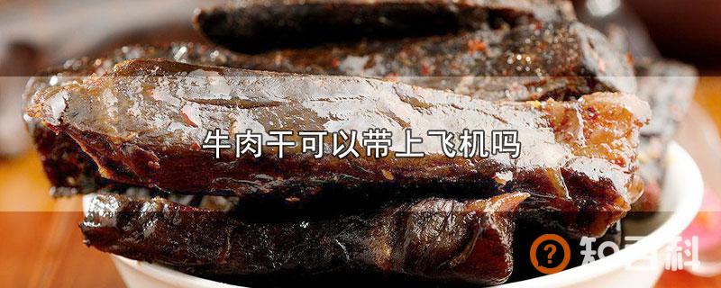 牛肉干可以带上飞机吗