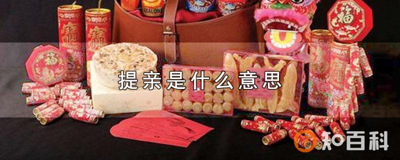 提亲是什么意思
