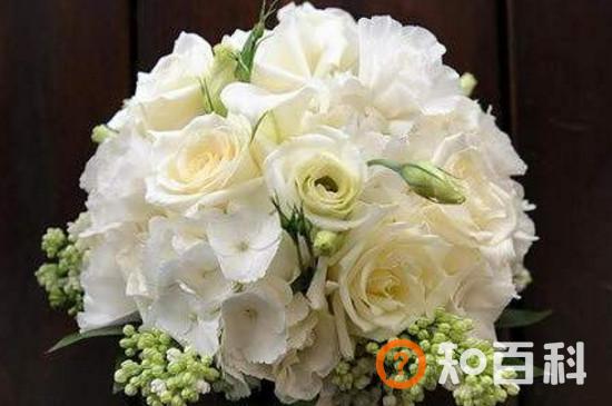 结婚手捧花能用白色么