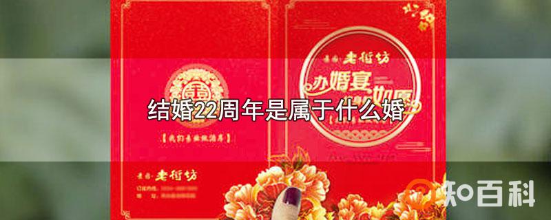 结婚22周年是属于什么婚