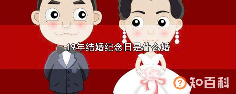 19年结婚纪念日是什么婚