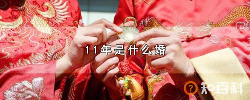 11年是什么婚
