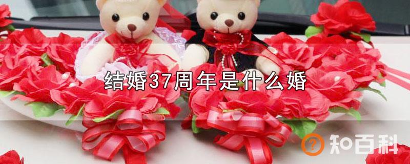结婚37周年是什么婚