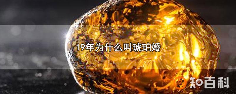 19年为什么叫琥珀婚