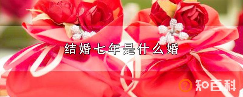 结婚七年是什么婚