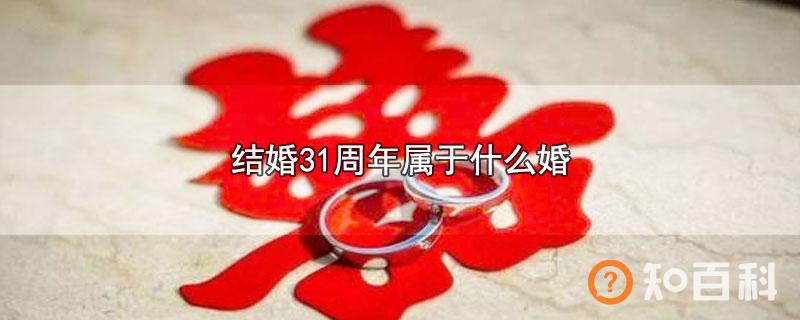 结婚31周年属于什么婚