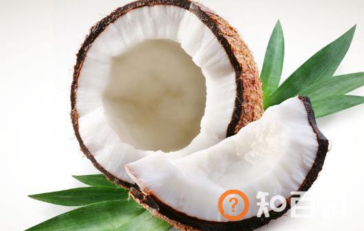 椰子的功效 一道椰子食疗方教给你养颜又滋补