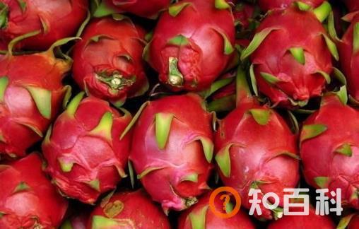 火龙果有红心白心别具一格 你应知道的火龙果的营养价值