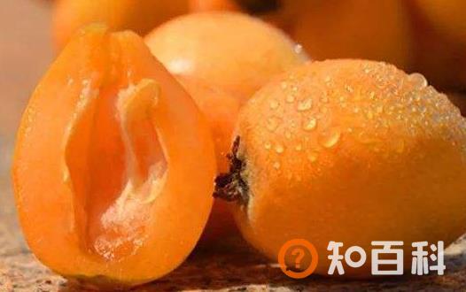 夏天的当令水果枇杷 中药师推荐枇杷的吃法