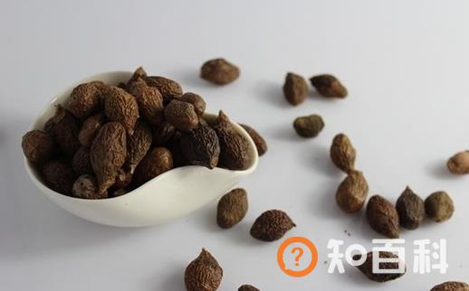 胖大海的来源和作用 几类病症不适喝胖大海