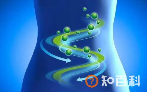 益生菌有益肠道健康 服用抗生素后服用效果棒棒