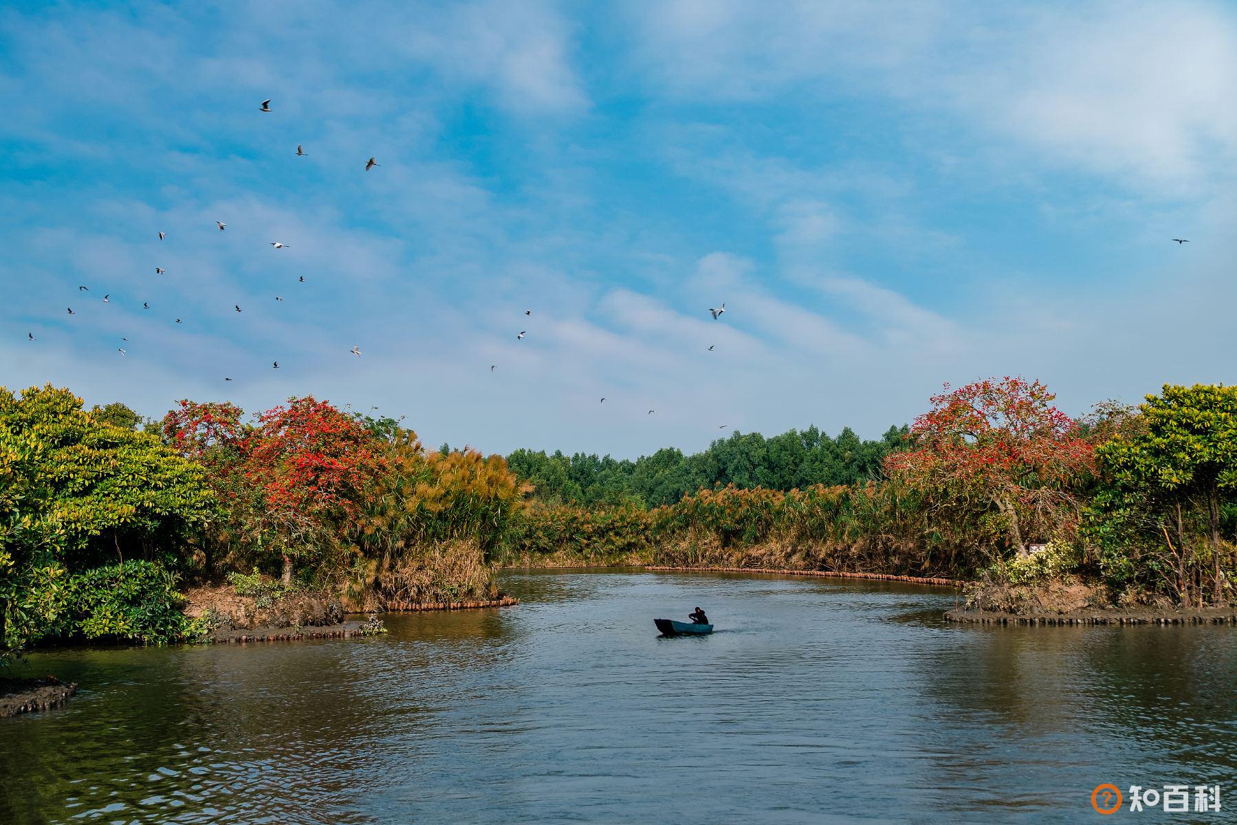 南沙湿地(Nansha Wetland)