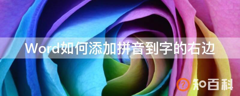Word如何添加拼音到字的右边
