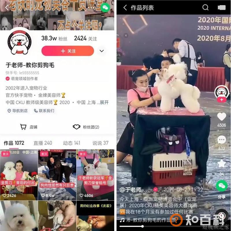快手小众赛道江湖：有人在直播间给狗狗剪毛，有人靠盆景年入千万