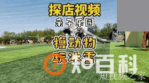 老匡：“抖音同城”怎么玩？18个创业小项目，打包送给你！
