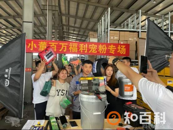 快手小众赛道江湖：有人在直播间给狗狗剪毛，有人靠盆景年入千万