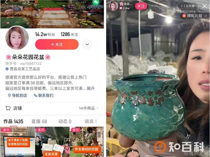 快手小众赛道江湖：有人在直播间给狗狗剪毛，有人靠盆景年入千万