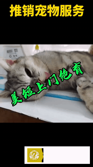 老匡：“抖音同城”怎么玩？18个创业小项目，打包送给你！