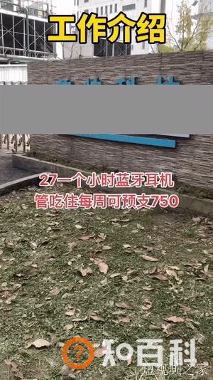 老匡：“抖音同城”怎么玩？18个创业小项目，打包送给你！