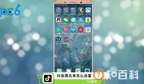 抖音黑名单怎么设置