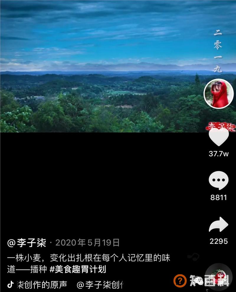 无数人向往的李子柒，到底运用到了哪些方法？学会这些，你也能成为一个大IP