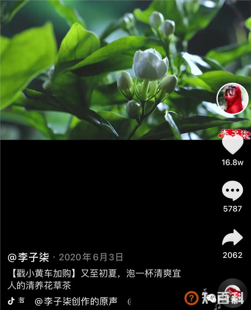 无数人向往的李子柒，到底运用到了哪些方法？学会这些，你也能成为一个大IP