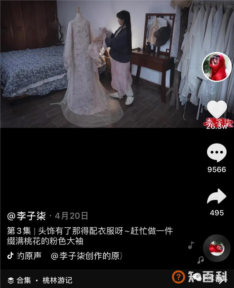 无数人向往的李子柒，到底运用到了哪些方法？学会这些，你也能成为一个大IP