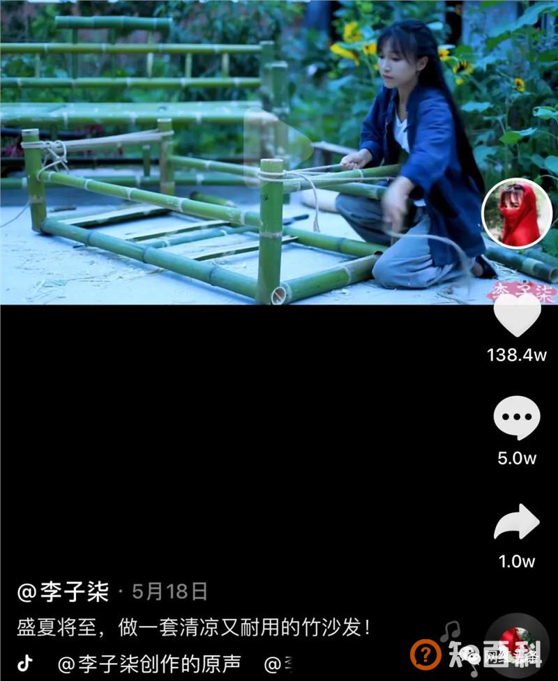 无数人向往的李子柒，到底运用到了哪些方法？学会这些，你也能成为一个大IP