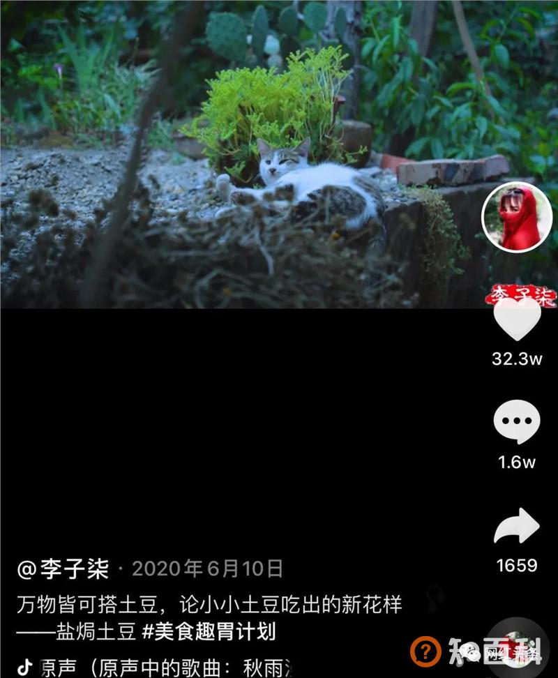 无数人向往的李子柒，到底运用到了哪些方法？学会这些，你也能成为一个大IP