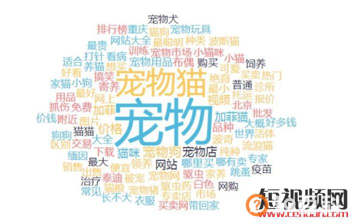 一文教你短视频怎么定位涨粉快，抖音账号定位类型有哪些？