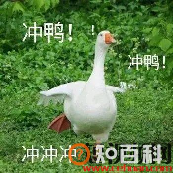 加入公会，月入过万？你是不是又被套路了