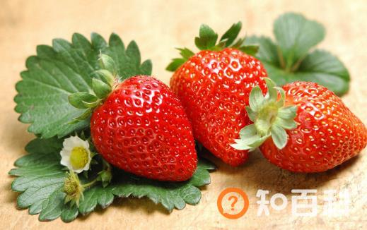 通过食物达到补钙目的 这10种食物含钙量惊人
