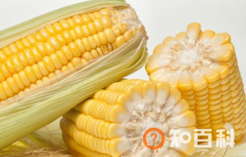 玉米的食用方法大推荐 简单三招延长玉米使用期