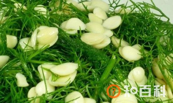 茴香菜的功效与作用 茴香菜的食用禁忌