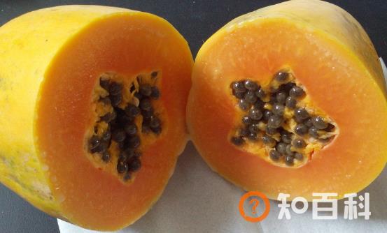 木瓜丰胸通乳缓解体虚 木瓜的做法大全
