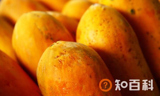 木瓜丰胸通乳缓解体虚 木瓜的做法大全
