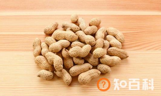 冬季吃哪些食物最营养