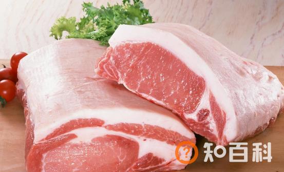 不宜和猪肉搭配的5种食物 同食有可能引起中毒