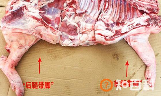 教你区分猪肉前腿肉和后腿肉 不同位置口感不一样别买错了