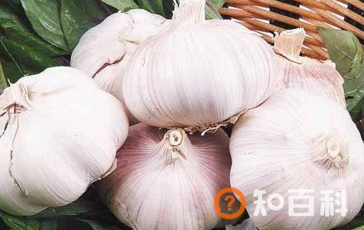 保护眼睛从食疗着手 对眼睛好的食物大全
