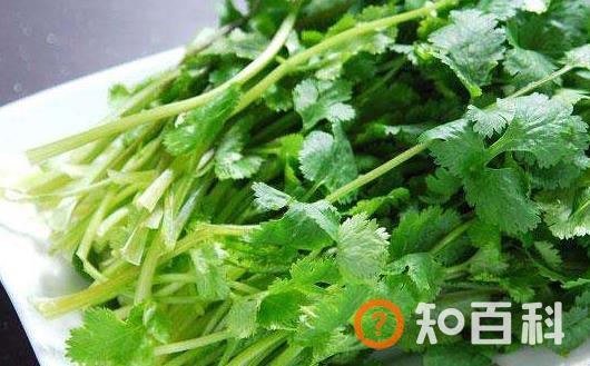 咳嗽不停痛苦不堪 咳嗽时的饮食禁忌